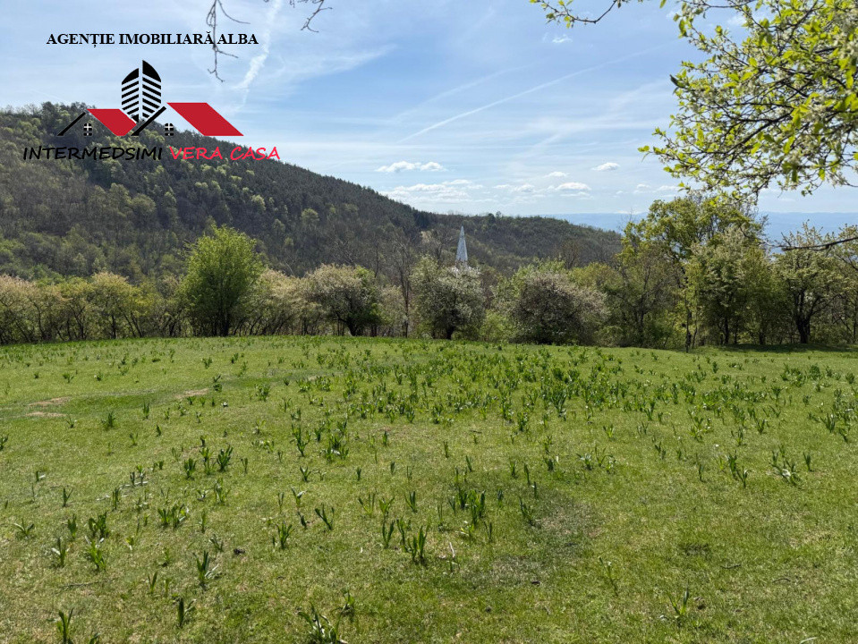 Teren intravilan 8330 mp de vanzare in Inuri Jud Alba