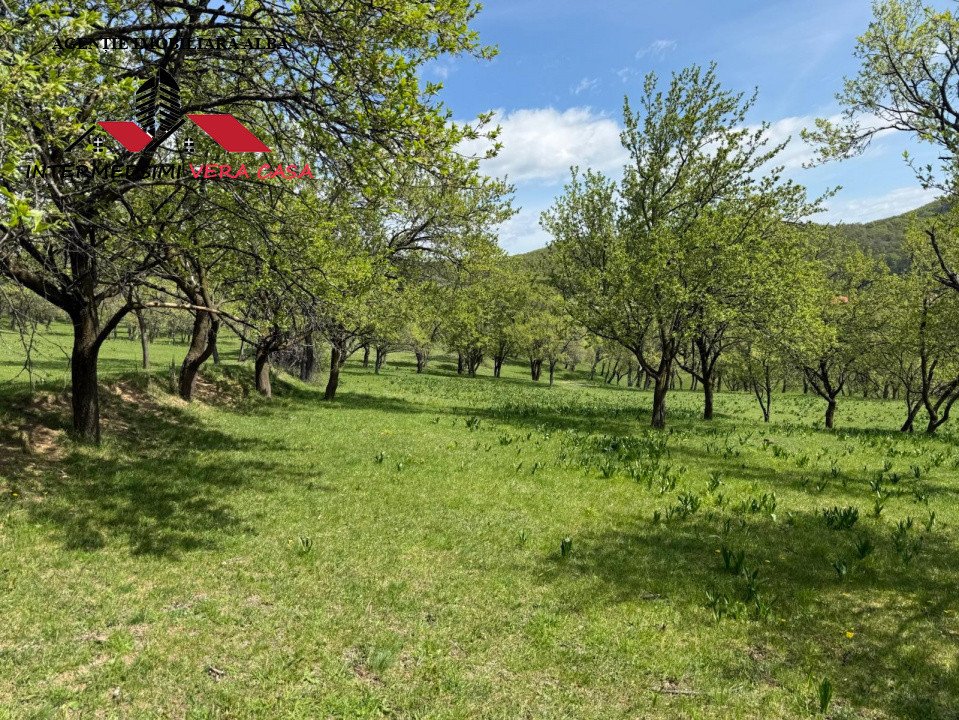 Teren intravilan 8330 mp de vanzare in Inuri Jud Alba