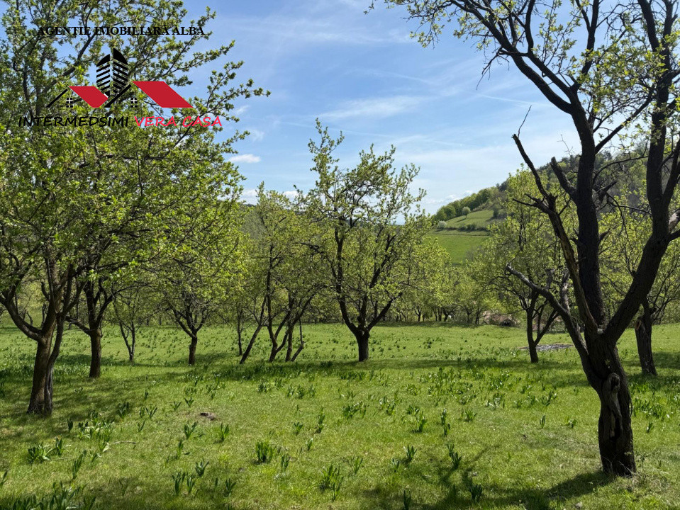 Teren intravilan 8330 mp de vanzare in Inuri Jud Alba