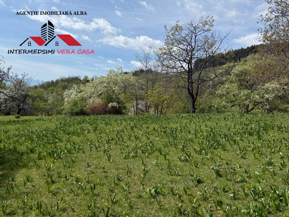 Teren intravilan 8330 mp de vanzare in Inuri Jud Alba