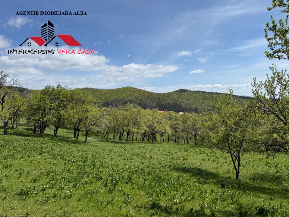 Teren intravilan 8330 mp de vanzare in Inuri Jud Alba