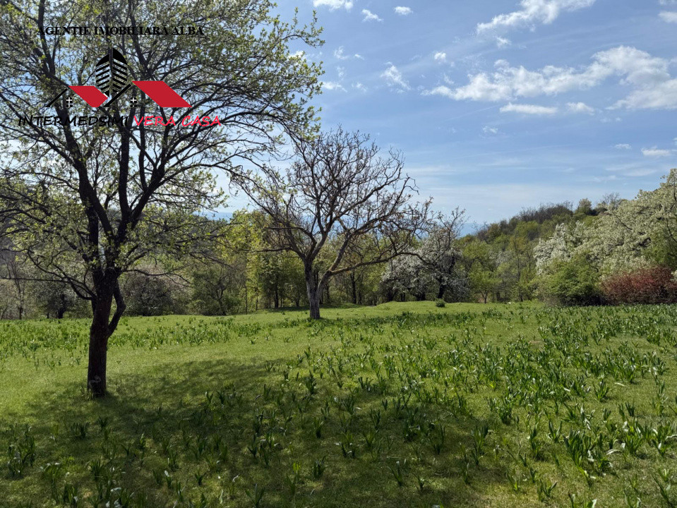 Teren intravilan 8330 mp de vanzare in Inuri Jud Alba