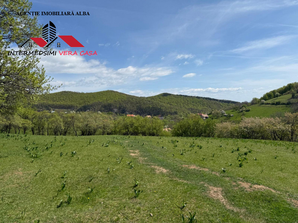 Teren intravilan 8330 mp de vanzare in Inuri Jud Alba