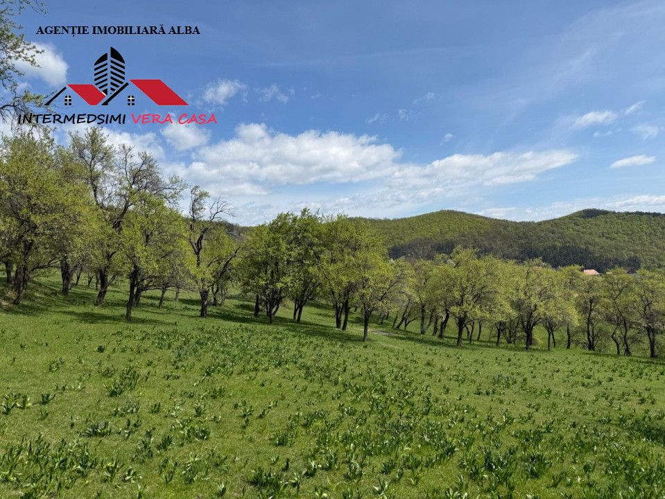 Teren intravilan 8330 mp de vanzare in Inuri Jud Alba