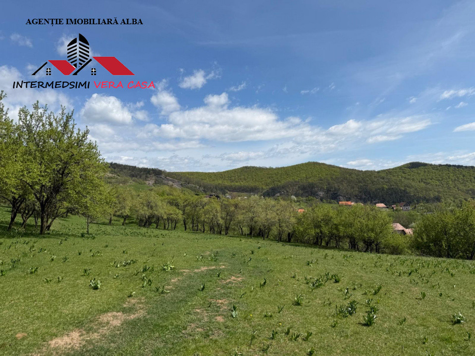 Teren intravilan 8330 mp de vanzare in Inuri Jud Alba