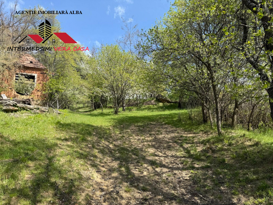Teren intravilan 8330 mp de vanzare in Inuri Jud Alba
