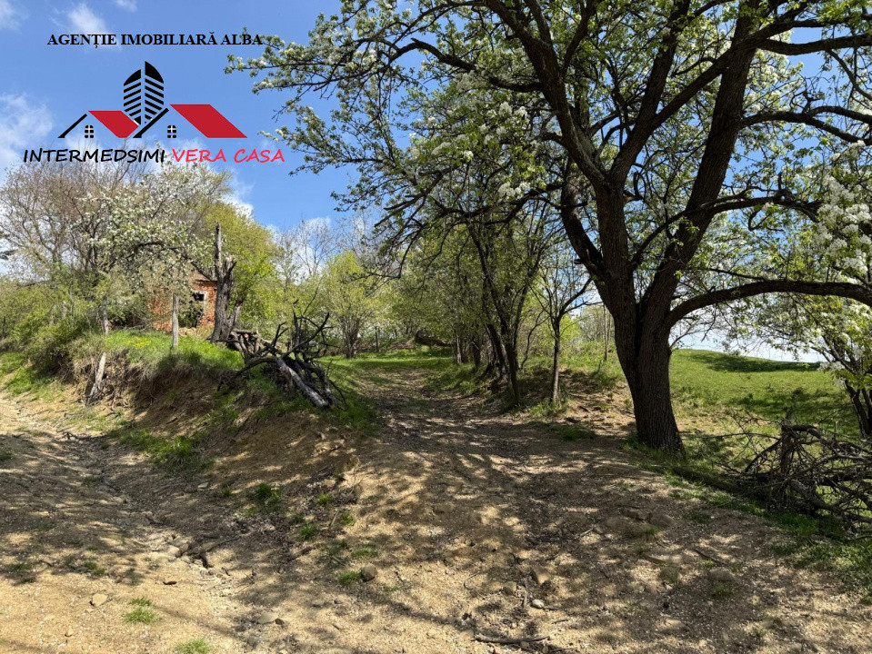Teren intravilan 8330 mp de vanzare in Inuri Jud Alba