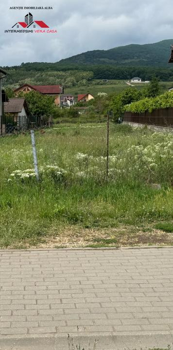 Teren 1000 mp  cu autorizatie si proect de vanzare Alba iulia
