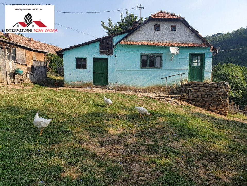 OFERTA! Casa de vanzare cu 5 hectare teren Alba iulia Inuri