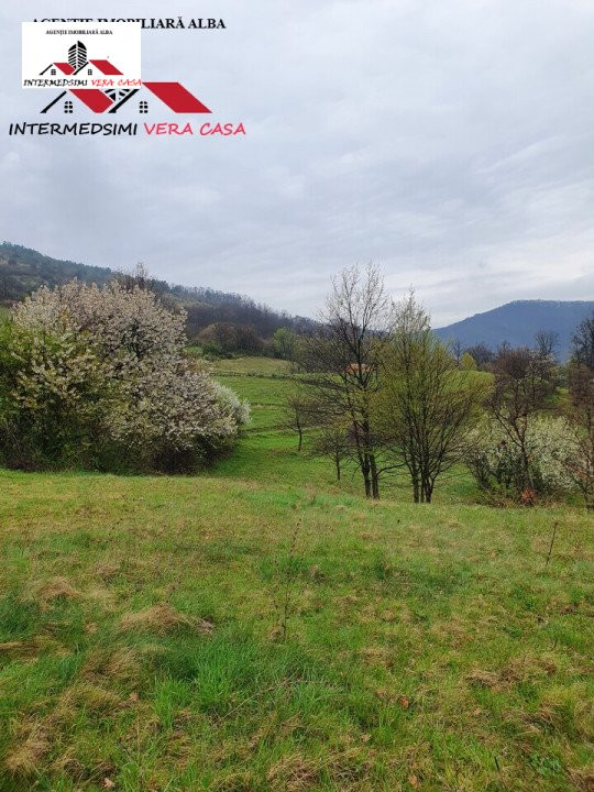 OFERTA! Teren de vanzare 33 de hectare Alba iulia ( Inuri }