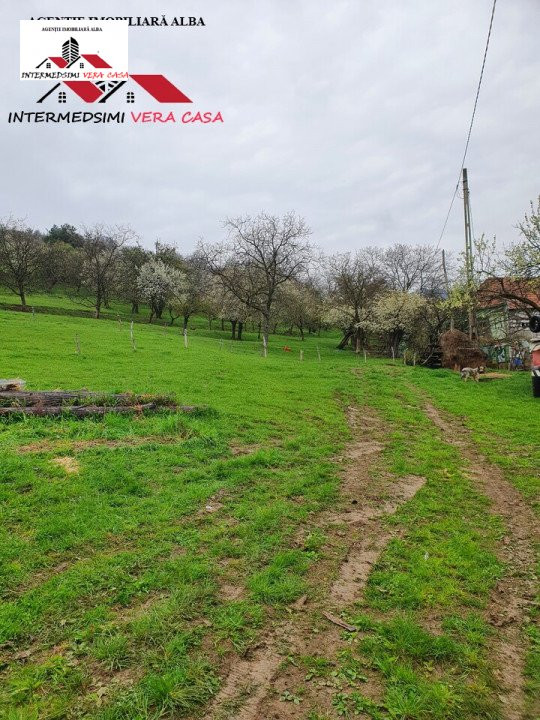 OFERTA! Teren de vanzare 33 de hectare Alba iulia ( Inuri }