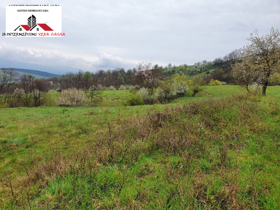 OFERTA! Teren de vanzare 33 de hectare Alba iulia ( Inuri }