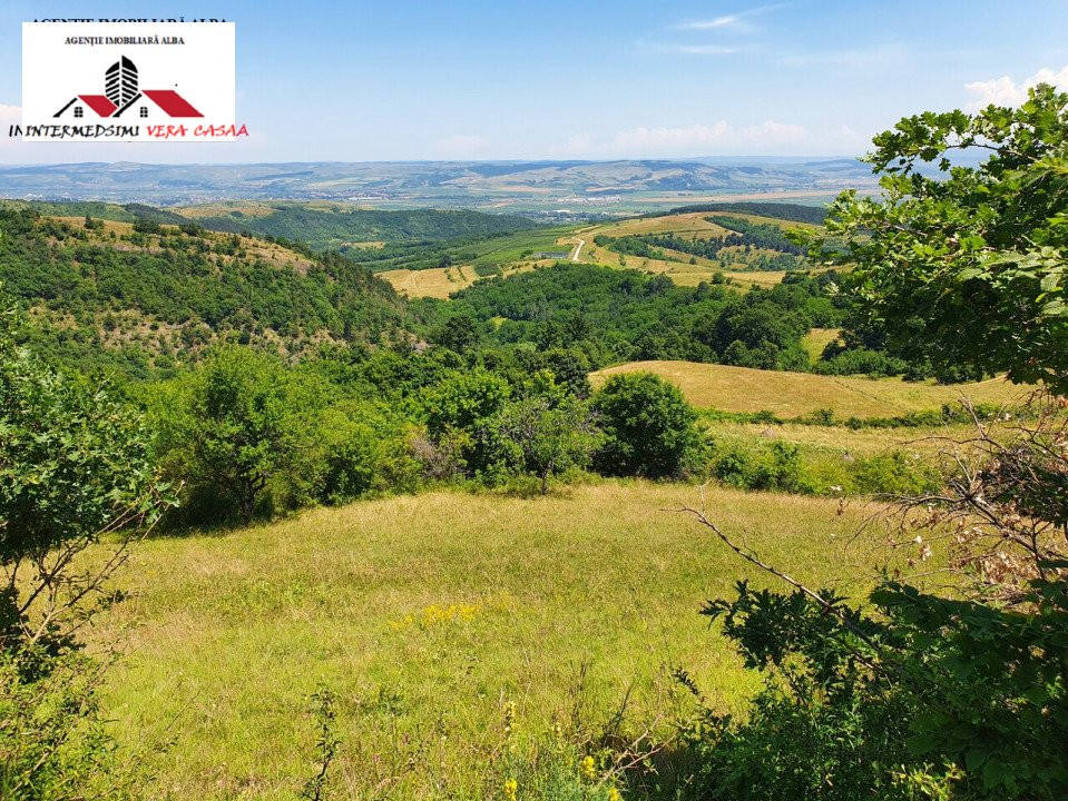 OFERTA! Teren de vanzare 33 de hectare Alba iulia ( Inuri }