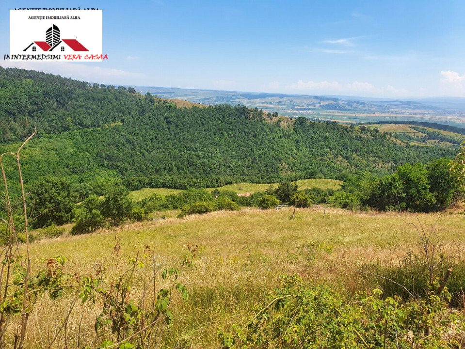 OFERTA! Teren de vanzare 33 de hectare Alba iulia ( Inuri }