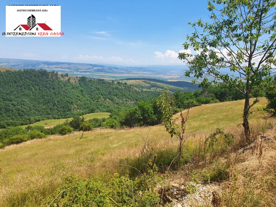 OFERTA! Teren de vanzare 33 de hectare Alba iulia ( Inuri }