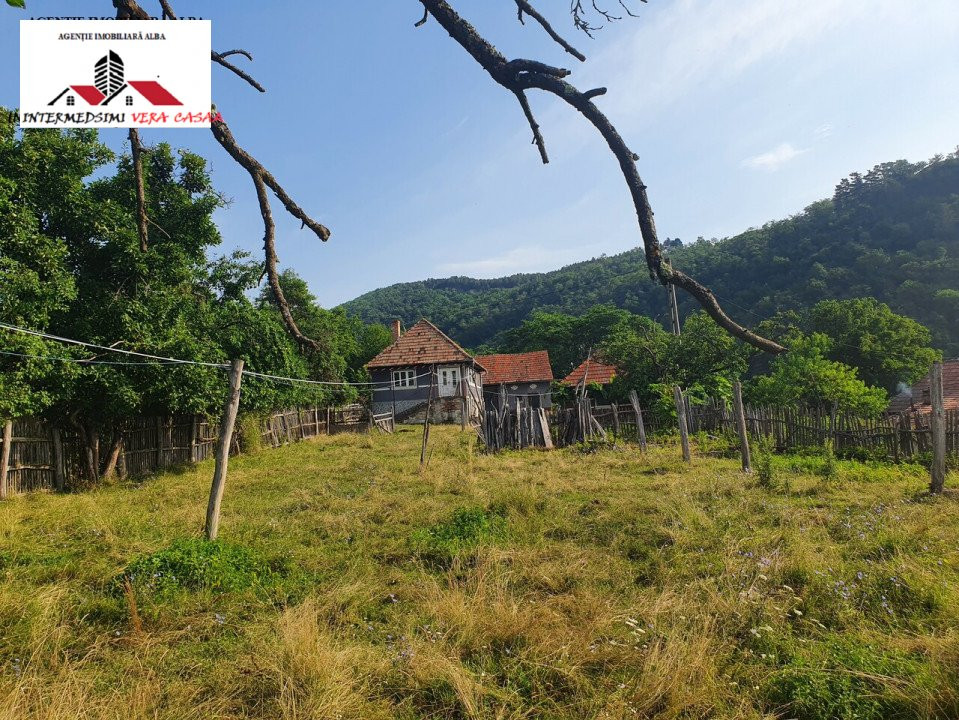 OFERTA! Teren de vanzare 33 de hectare Alba iulia ( Inuri }