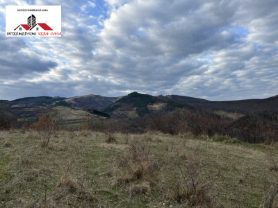 Teren extravilan 20750 mp de vanzare Inuri - Vintu de Jos Jud  Alba 