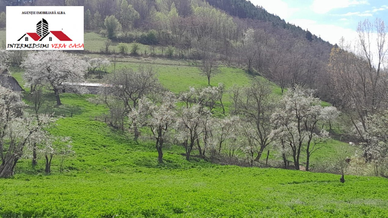  Casa 3 camere cu 5500 mp de vanzare in Inuri jud Alba