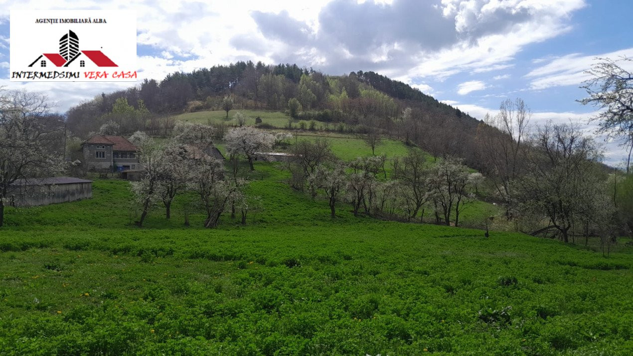  Casa 3 camere cu 5500 mp de vanzare in Inuri jud Alba