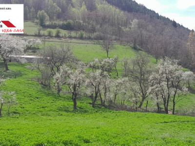  Casa 3 camere cu 5500 mp de vanzare in Inuri jud Alba