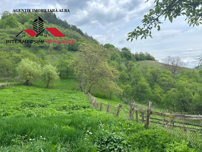 Casa si anexe de vanzare Matacina Jud Alba 