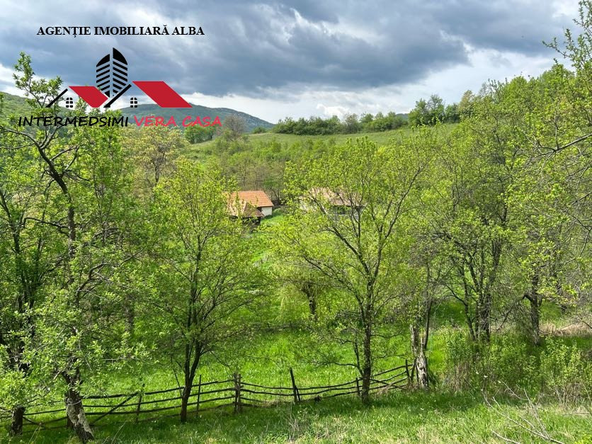 Casa si anexe de vanzare Matacina Jud Alba 